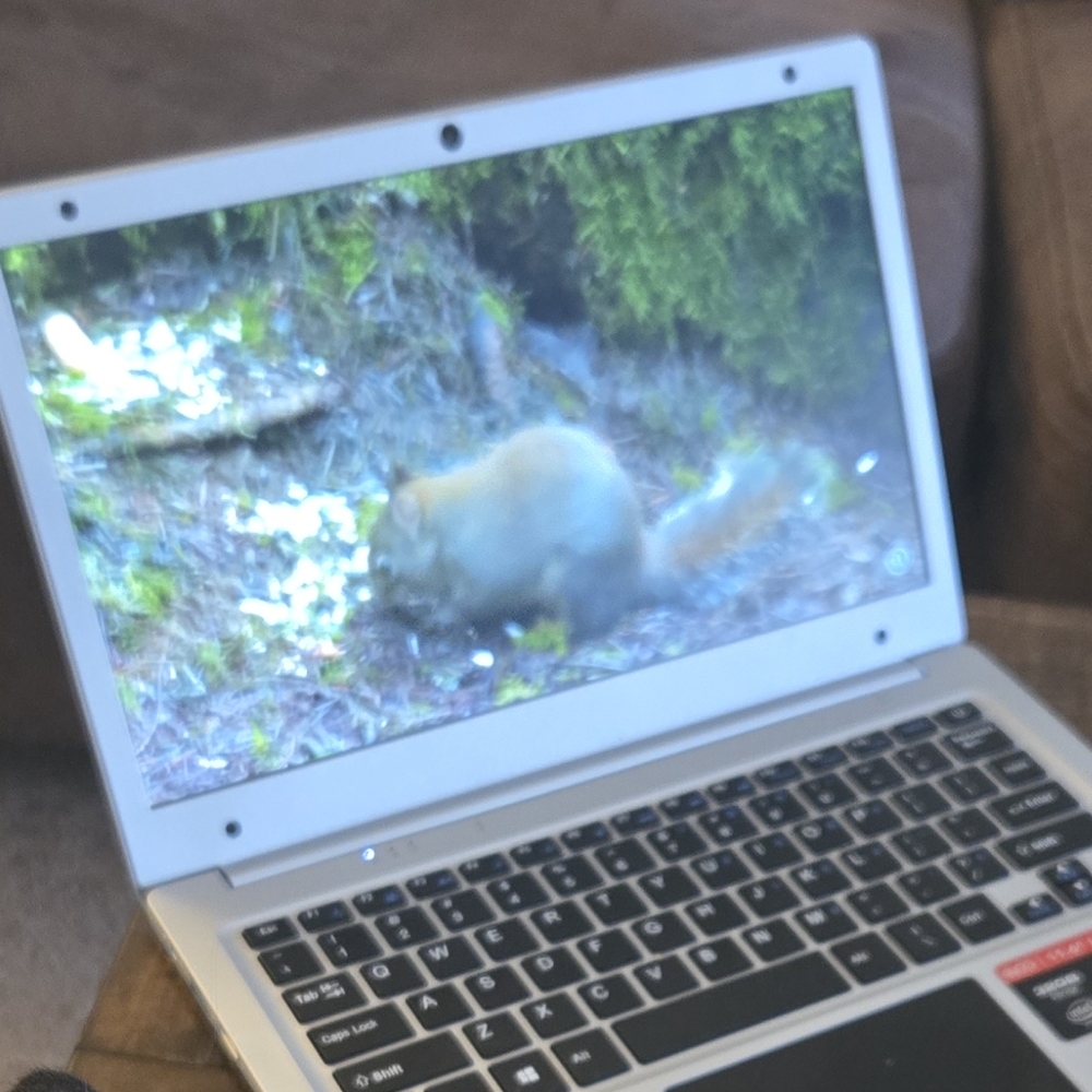 High-Performance Silver Laptop with Windows OS - Picture 7 of 11
